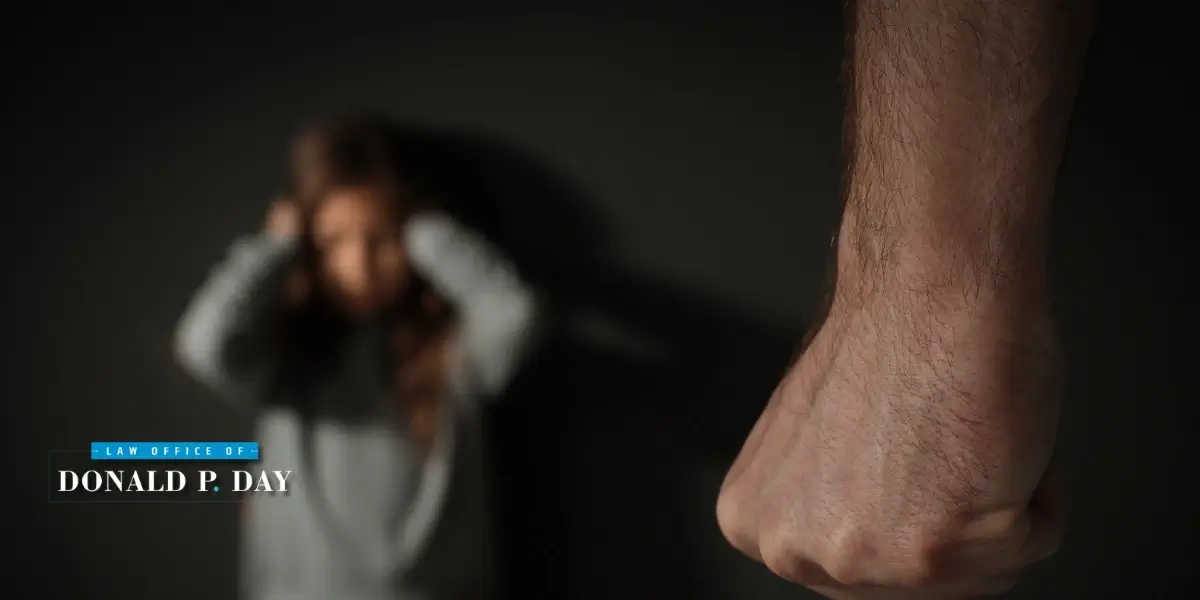 Bonita Springs Domestic Violence Defense Lawyer