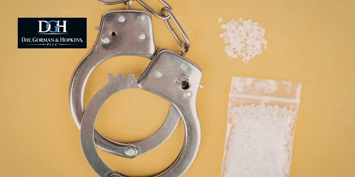 Ave Maria drug crime lawyer