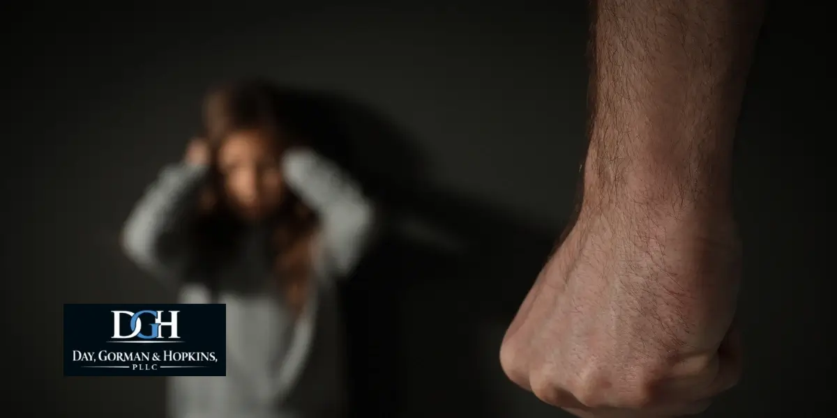 Bonita Springs domestic violence defense lawyer