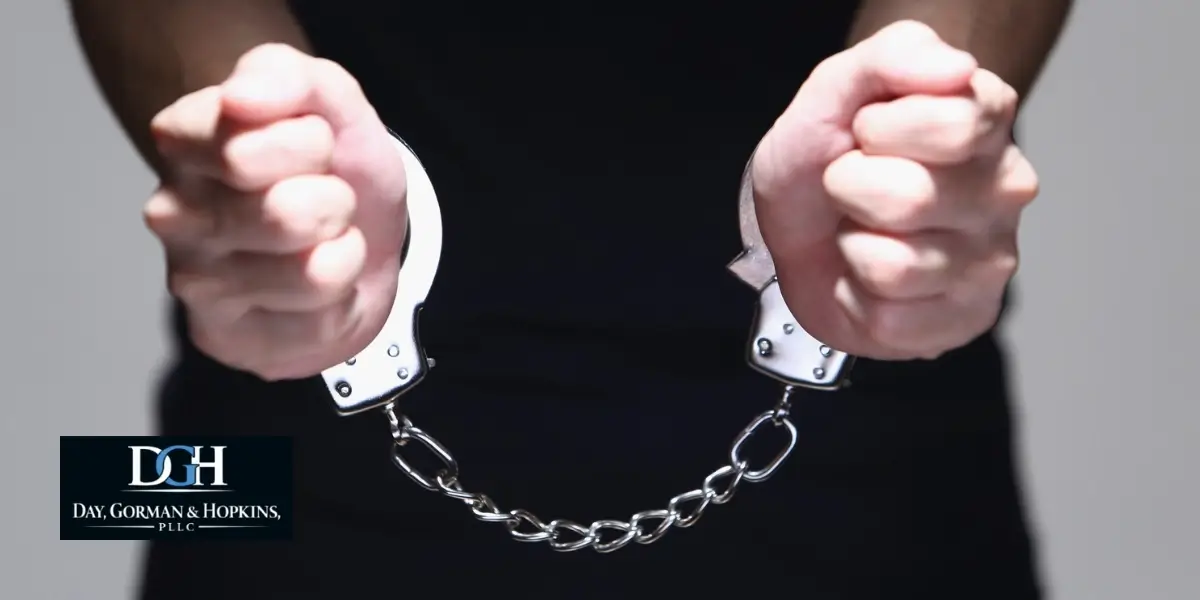 Ave Maria domestic violence defense lawyer