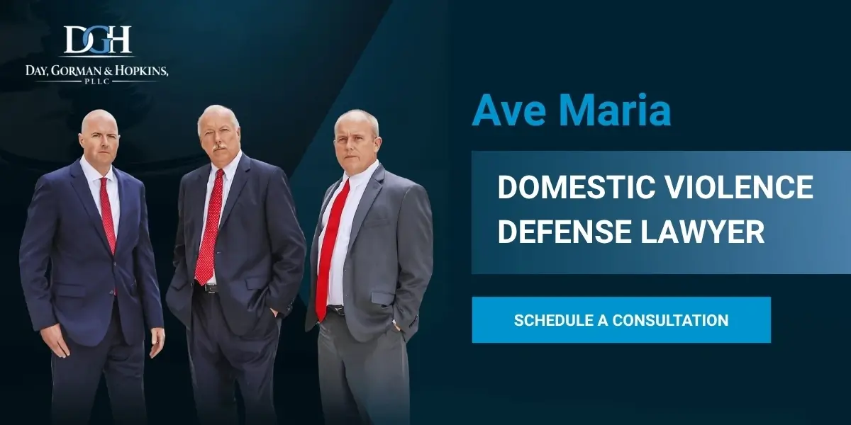 Ave Maria domestic violence defense lawyer