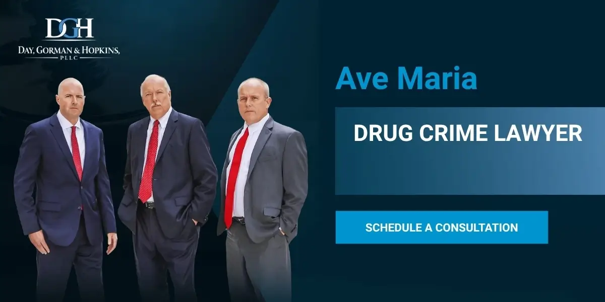 Ave Maria drug crime lawyer