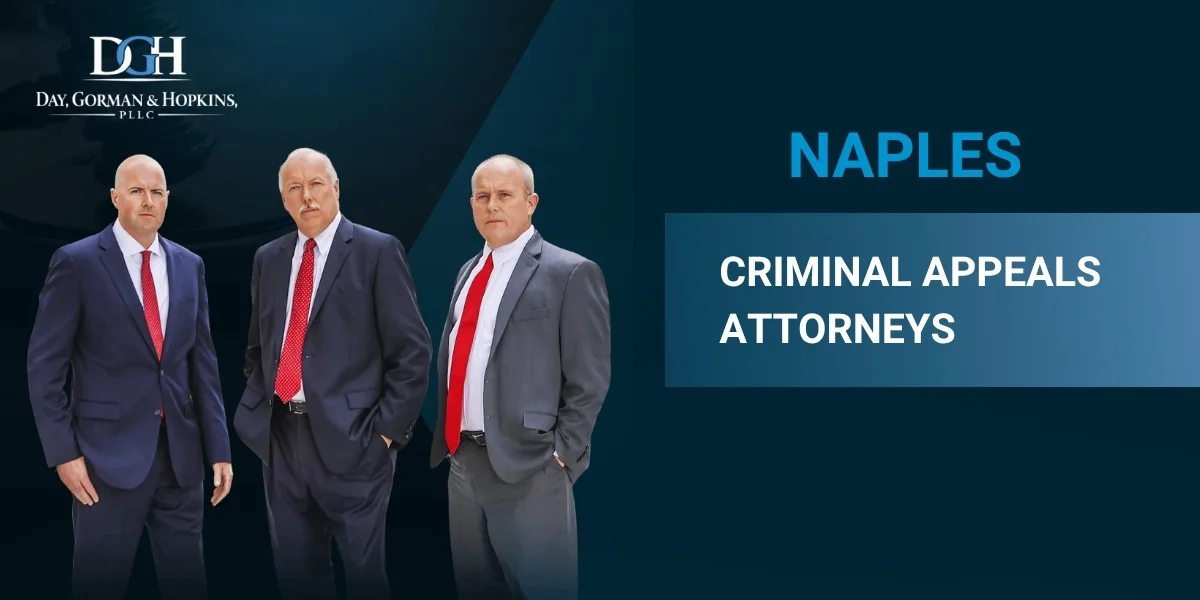 Naples Criminal Appeals Attorney